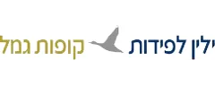 ילין לפידות